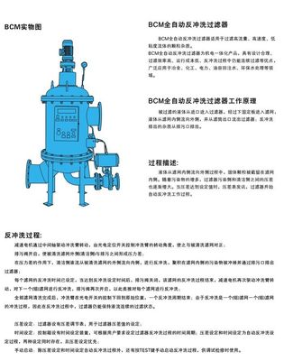 Stainless Steel 304/306L Full-Automatic Reverse-Washing Filter System for Industrial